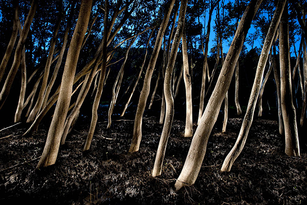 Photo tip: How to paint with light